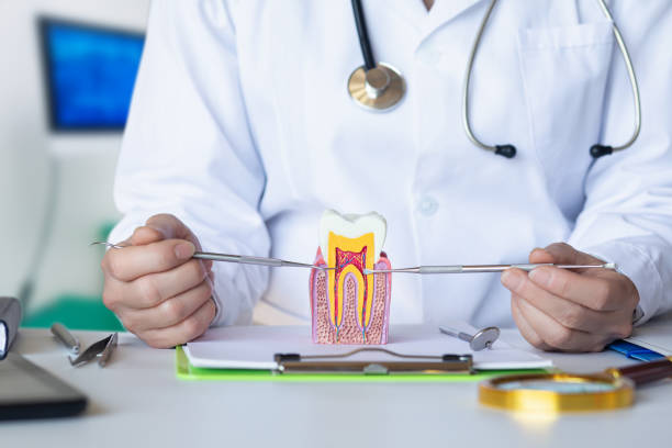 Best Emergency Treatment for Dental Infections or Abscesses in Labasas, CA